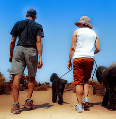 dog walking